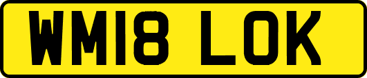 WM18LOK