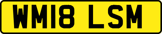 WM18LSM