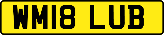 WM18LUB