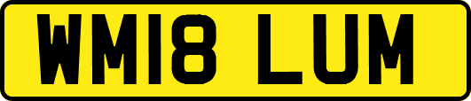 WM18LUM
