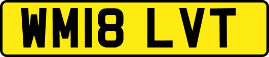 WM18LVT