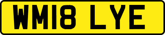 WM18LYE