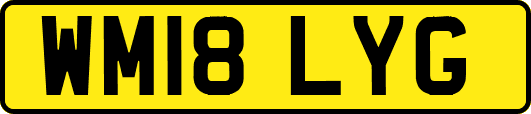WM18LYG