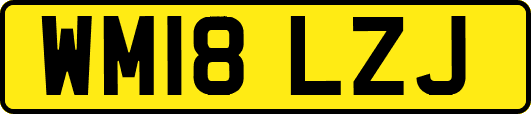 WM18LZJ