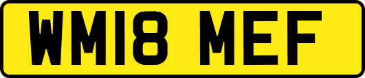 WM18MEF