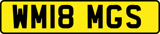 WM18MGS