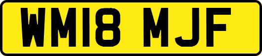 WM18MJF