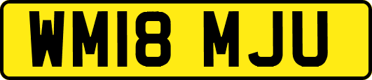 WM18MJU