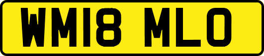 WM18MLO