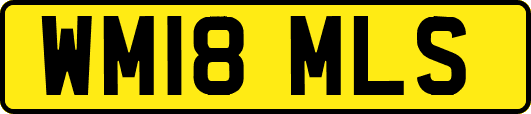WM18MLS