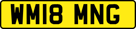 WM18MNG