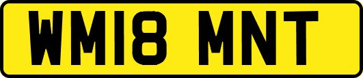 WM18MNT