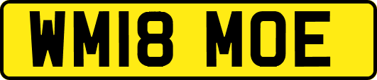 WM18MOE