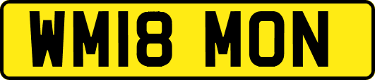 WM18MON