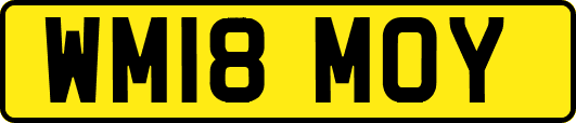 WM18MOY