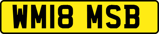 WM18MSB