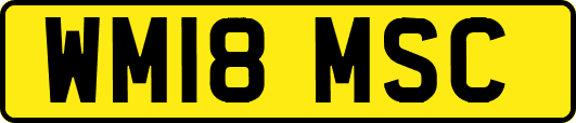 WM18MSC