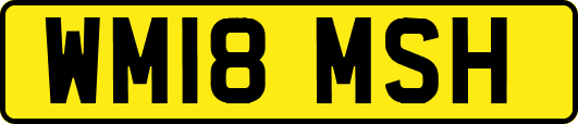 WM18MSH