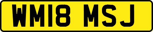 WM18MSJ