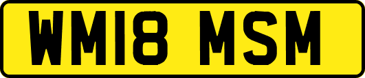 WM18MSM