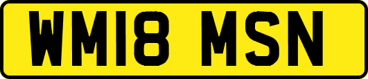 WM18MSN