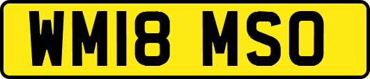 WM18MSO