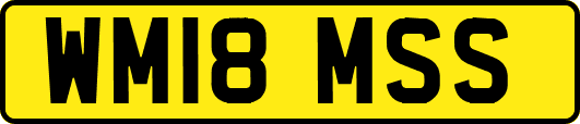 WM18MSS