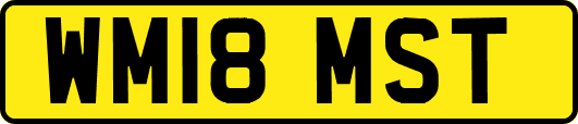 WM18MST