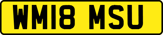 WM18MSU