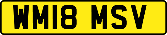 WM18MSV