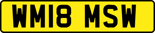 WM18MSW