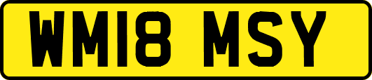 WM18MSY