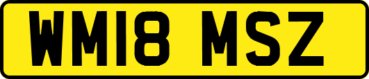 WM18MSZ
