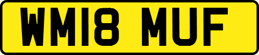 WM18MUF