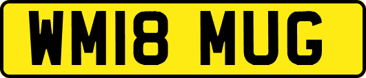 WM18MUG