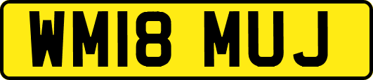 WM18MUJ