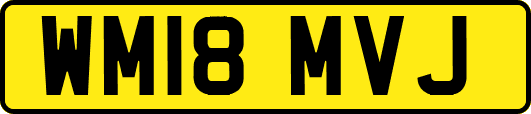 WM18MVJ