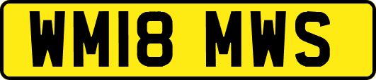 WM18MWS