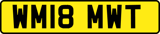 WM18MWT