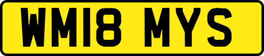 WM18MYS