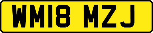 WM18MZJ