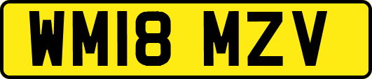 WM18MZV