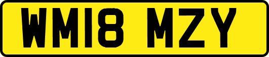 WM18MZY