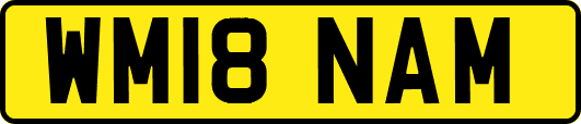 WM18NAM