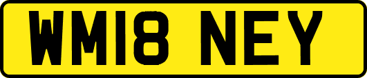 WM18NEY
