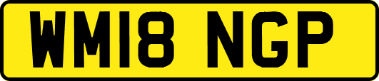 WM18NGP