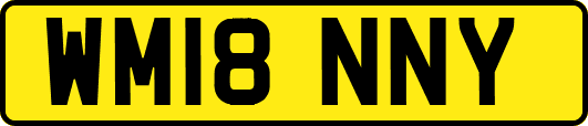 WM18NNY