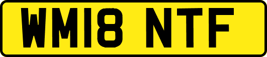 WM18NTF