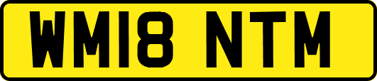 WM18NTM
