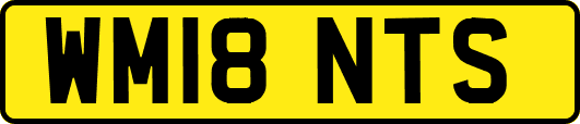 WM18NTS